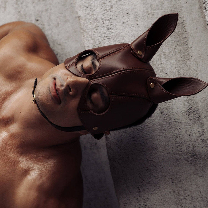The Equestrian Leather Mask Hood