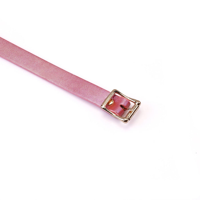 Liebe Seele Lustre Rosa: Pink Leather Ball Gag