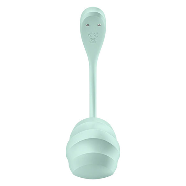 Satisfyer Smooth Petal wearable vibrator