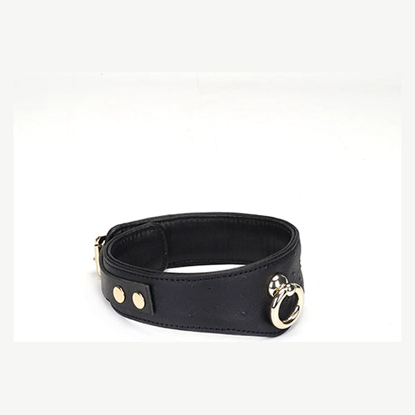 Liebe Seele Demon's Kiss curved collar with leash and locking buckle