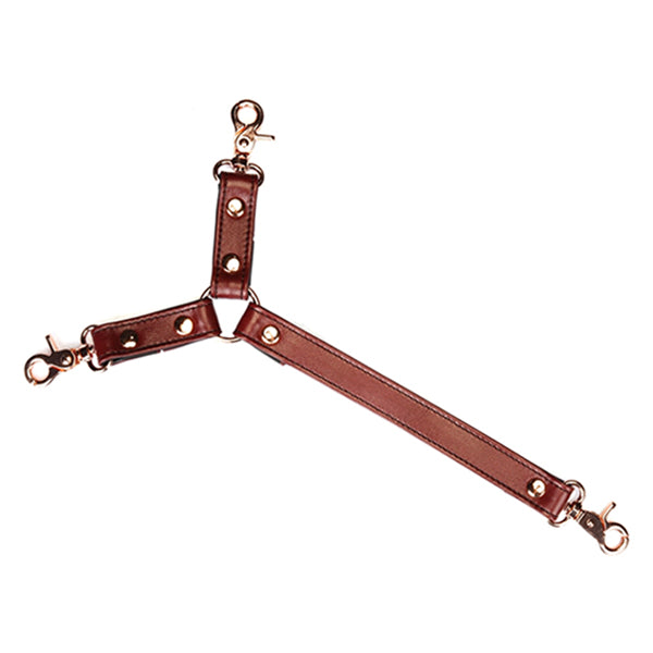 Liebe Seele Wine Red collar & wrist restraint harness