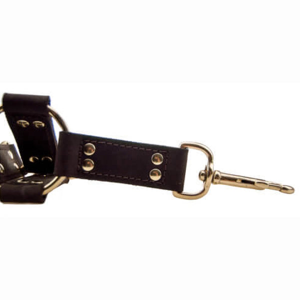 BOUND Nubuck Leather 4-Way hogtie