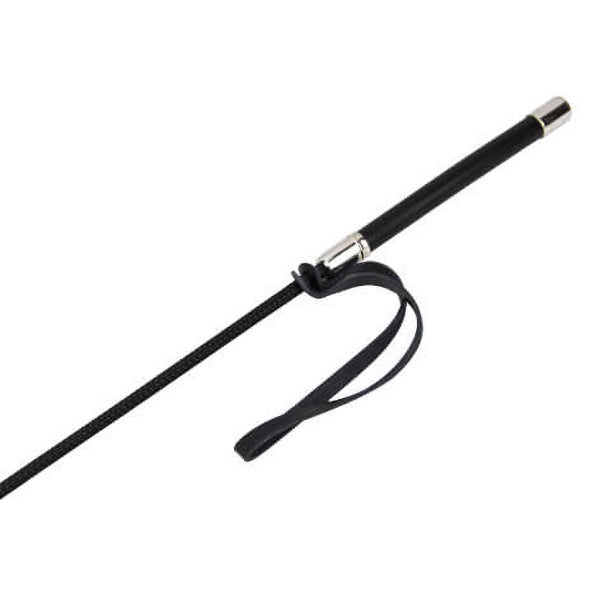 Bound to please riding crop