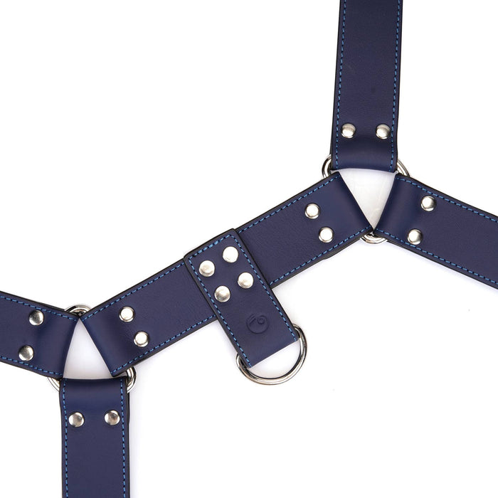 Cerulean Dominion: Blue Leather Male Harness