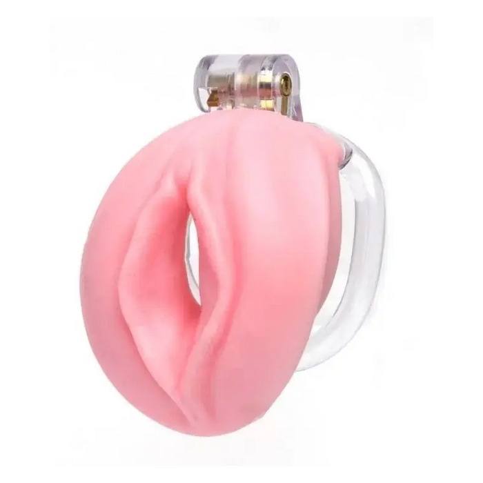 CELLMATE Pussyfyer cock cage