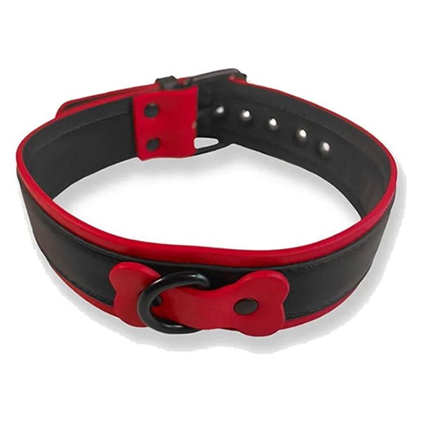 BRUTUS Puppy collar