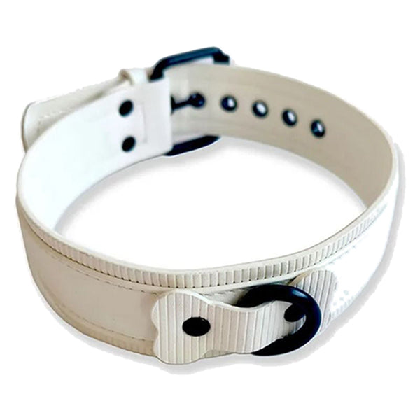BRUTUS Puppy collar