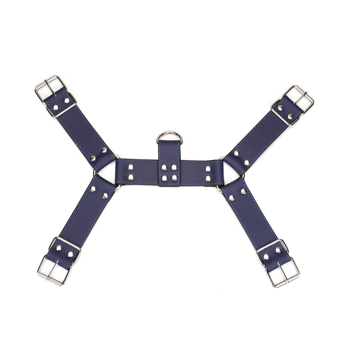 Cerulean Dominion: Blue Leather Male Harness