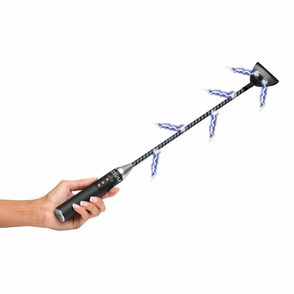 Zeus Electrosex e-stim paddle