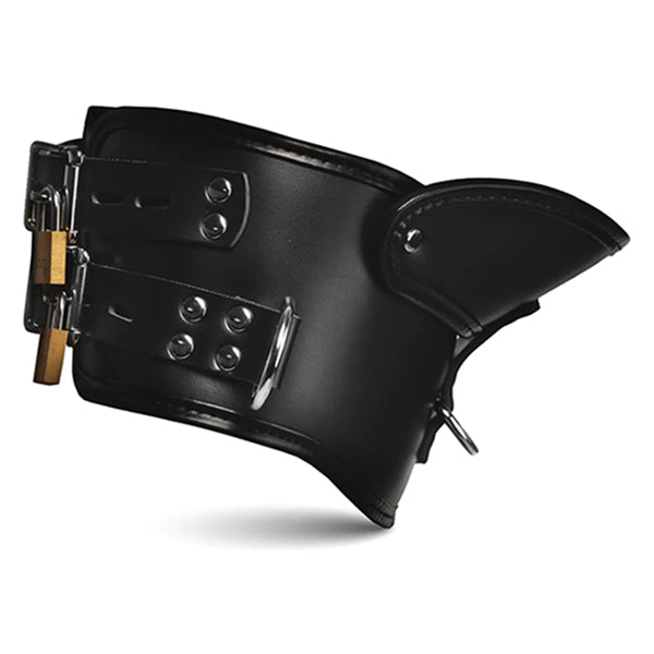 Master Series Rigid posture collar with chin brace