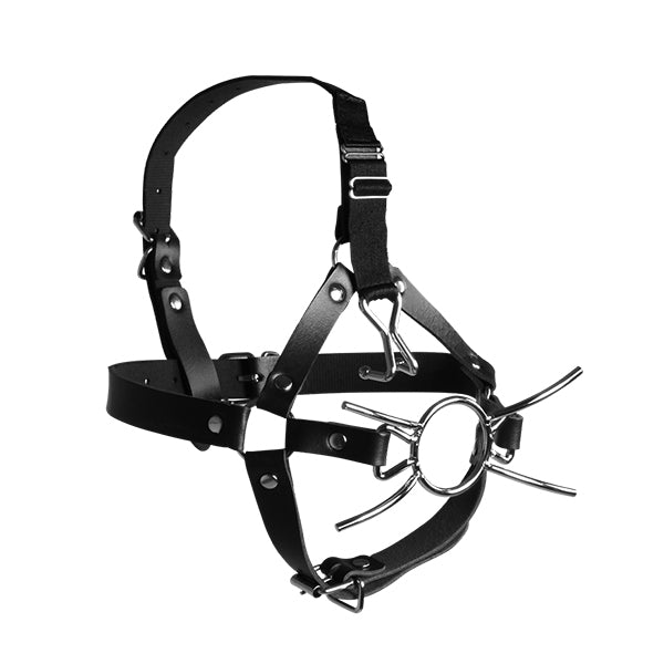 Ouch! Xtreme Head Harness with spider gag and nose hooks