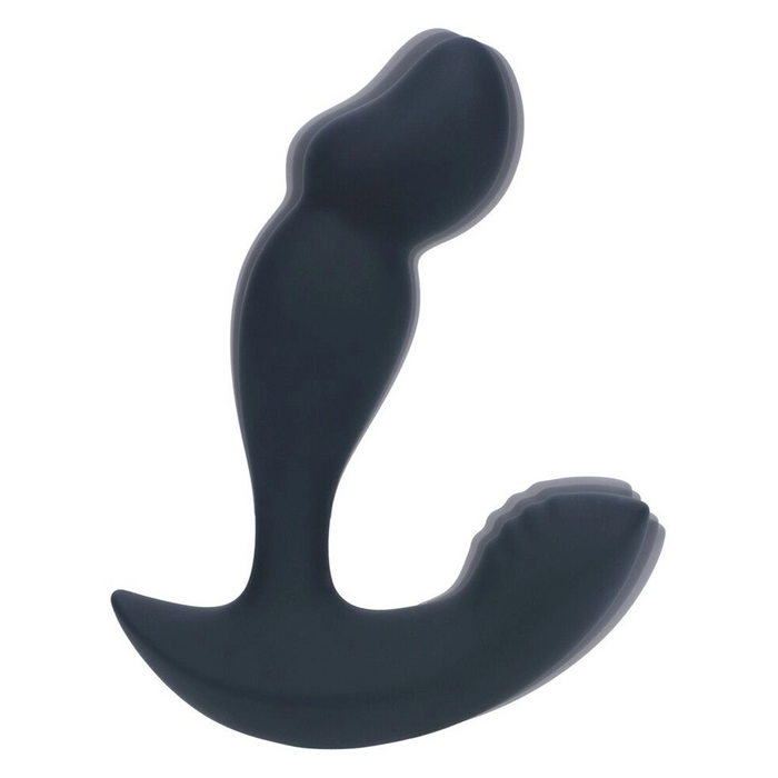 Levelz Dual Motor prostate massager