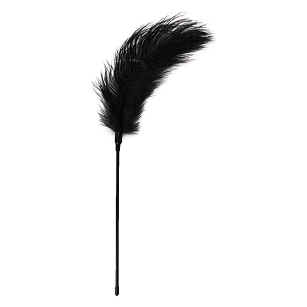 EasyToys Fetish Collection feather tickler