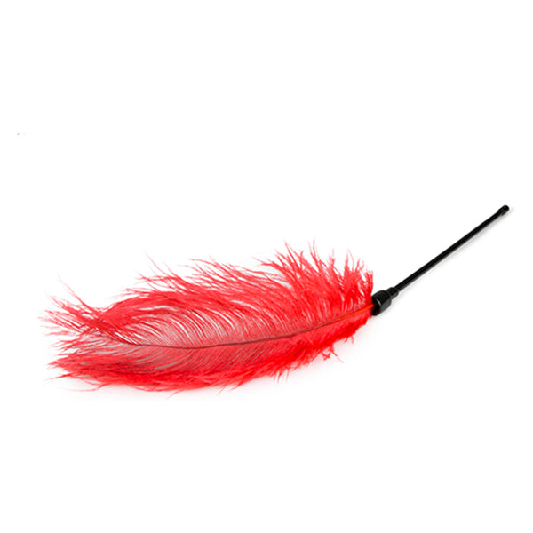EasyToys Fetish Collection feather tickler