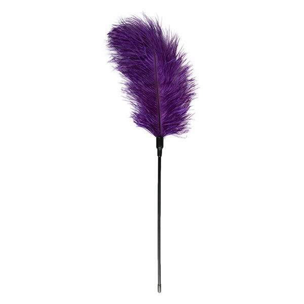 EasyToys Fetish Collection feather tickler