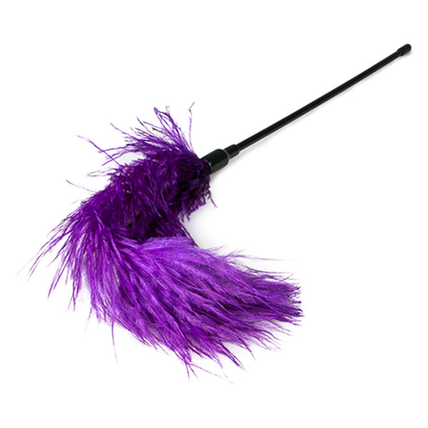 EasyToys Fetish Collection feather tickler