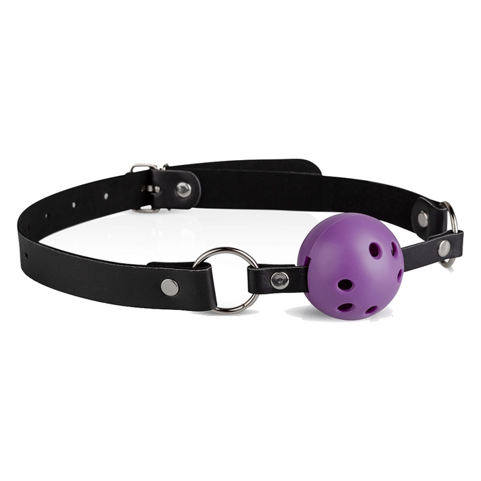 Bedroom Fantasies Purple Apprentice secret pleasure chest X