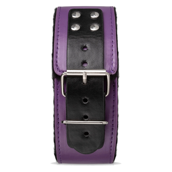 Bedroom Fantasies Purple Apprentice secret pleasure chest X