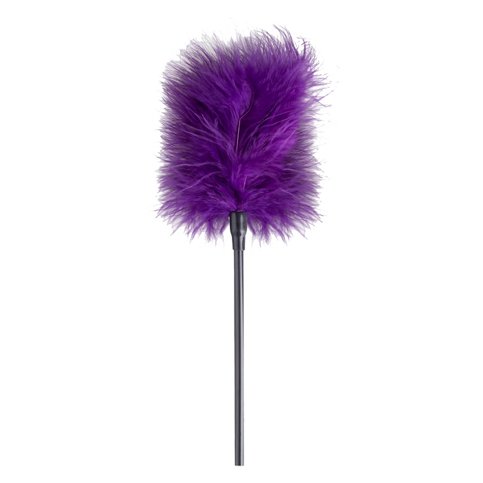 Bedroom Fantasies Purple Apprentice secret pleasure chest X