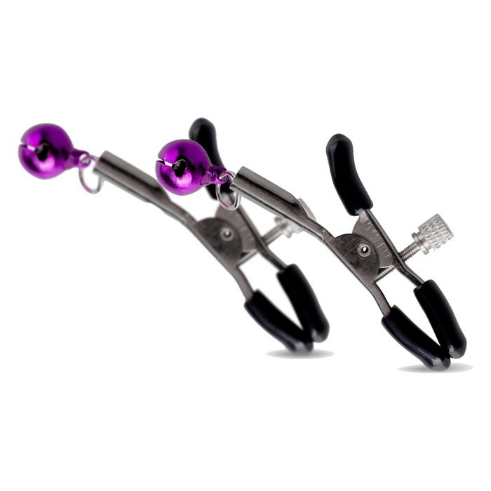 Bedroom Fantasies Purple Apprentice secret pleasure chest X
