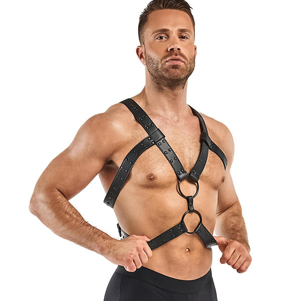 Bedroom Fantasies Rocco chest harness