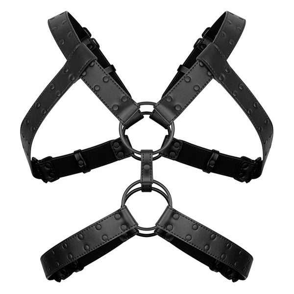 Bedroom Fantasies Rocco chest harness