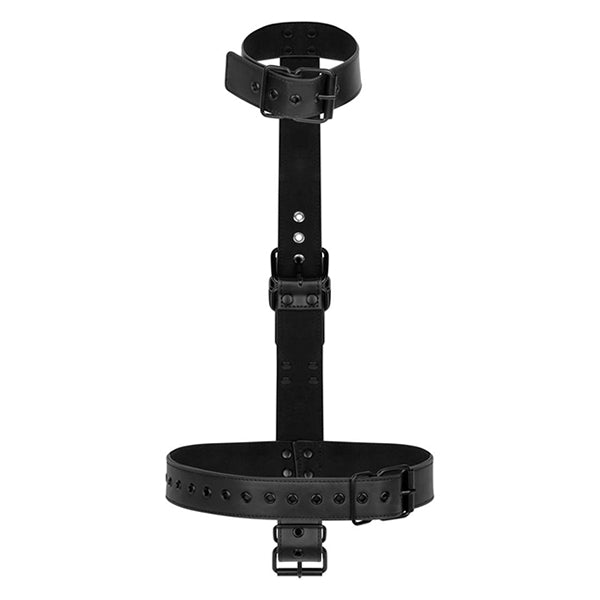 Bedroom Fantasies Collar With Wrist Cuffs body restraint kit