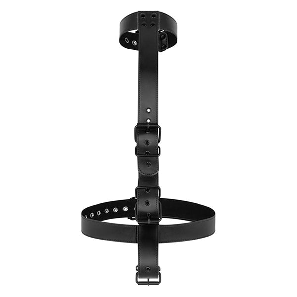 Bedroom Fantasies Collar With Wrist Cuffs body restraint kit