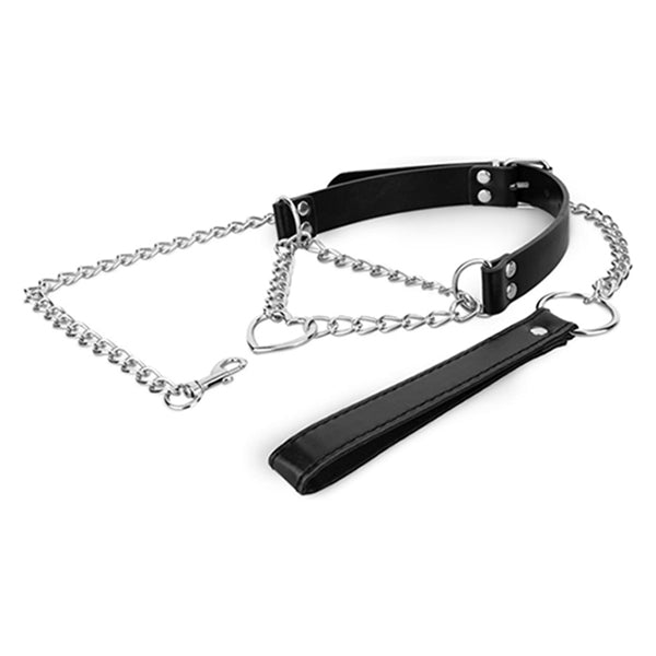Bedroom Fantasies Silver collar with leash