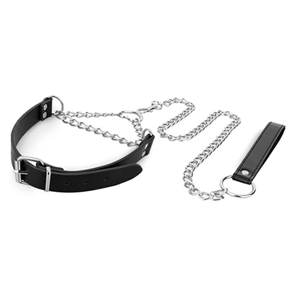 Bedroom Fantasies Silver collar with leash