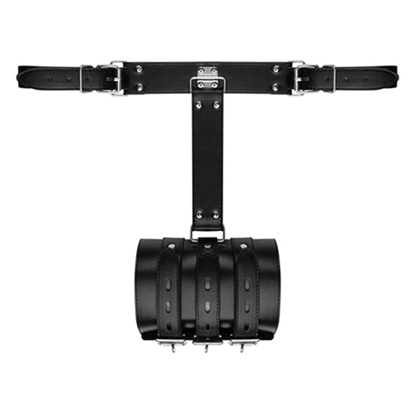 Bedroom Fantasies Blissfully Bound arm restraint kit