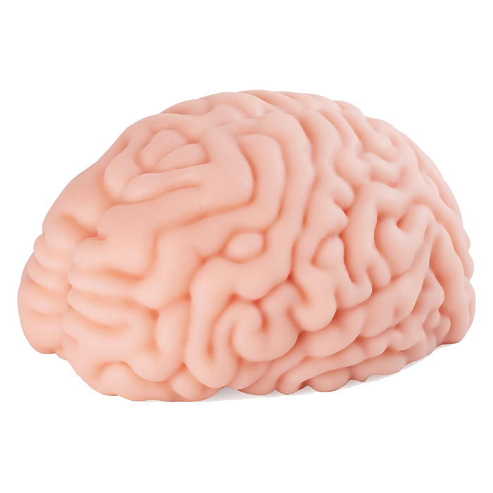 Motsutoys Brain Hacker DX masturbator