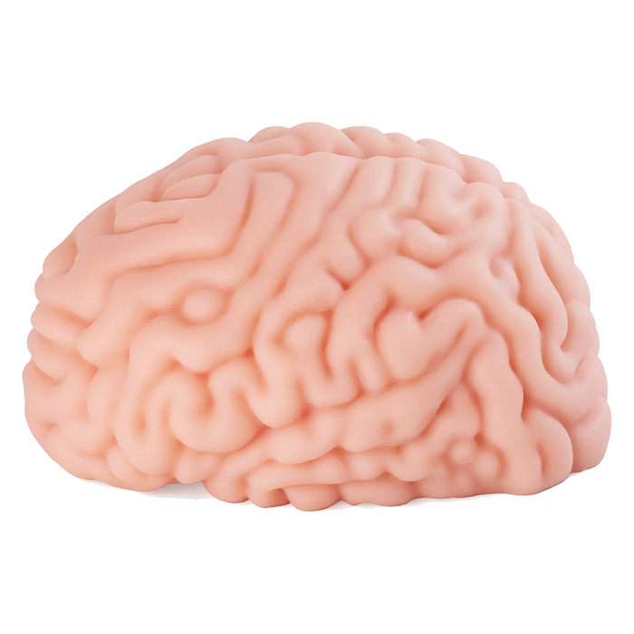 Motsutoys Brain Hacker DX masturbator