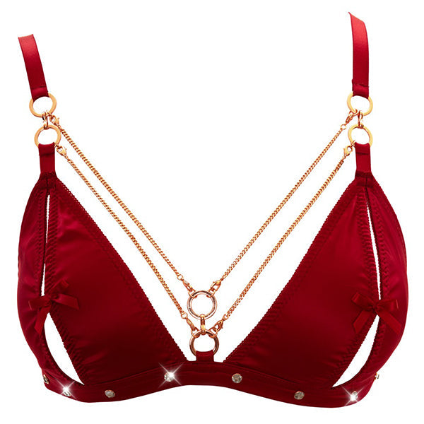 Abierta Fina Bra and Suspender lingerie set