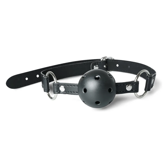 Sinsins 10-piece bondage set