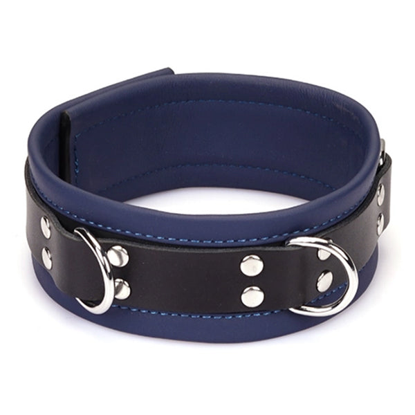Liebe Seele Cerulean Dominion collar with leash