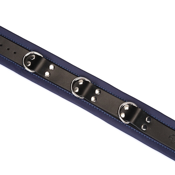 Liebe Seele Cerulean Dominion collar with leash