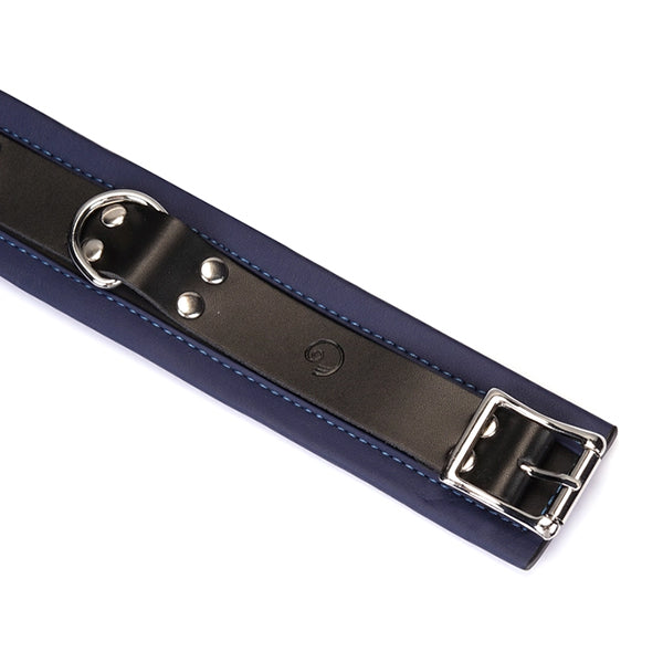 Liebe Seele Cerulean Dominion collar with leash