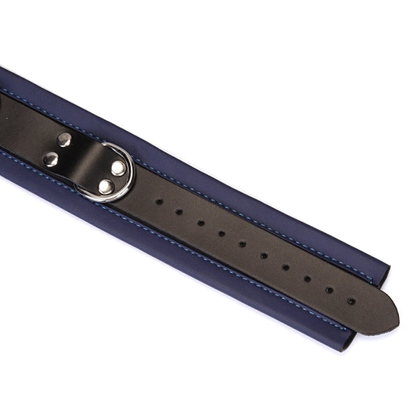 Liebe Seele Cerulean Dominion collar with leash