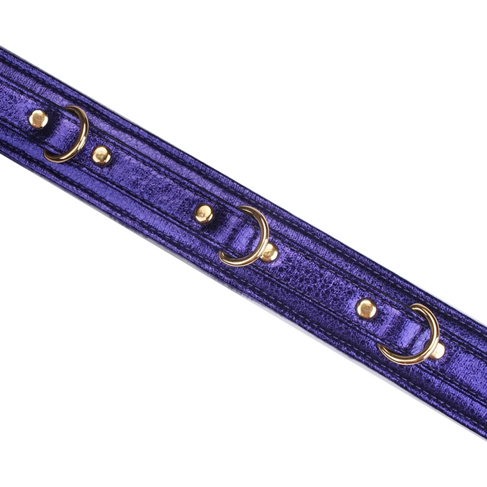 Liebe Seele Aurora Cracked PU collar with leash