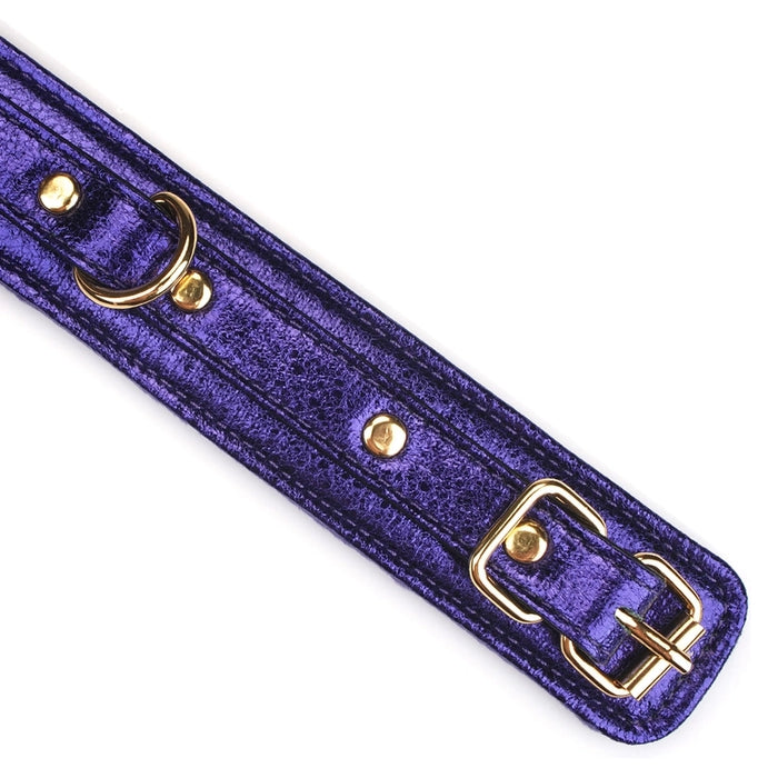 Liebe Seele Aurora Cracked PU collar with leash