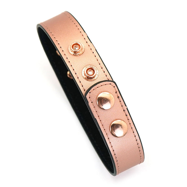 Liebe Seele Rose Gold Memory collar with nipple clamps