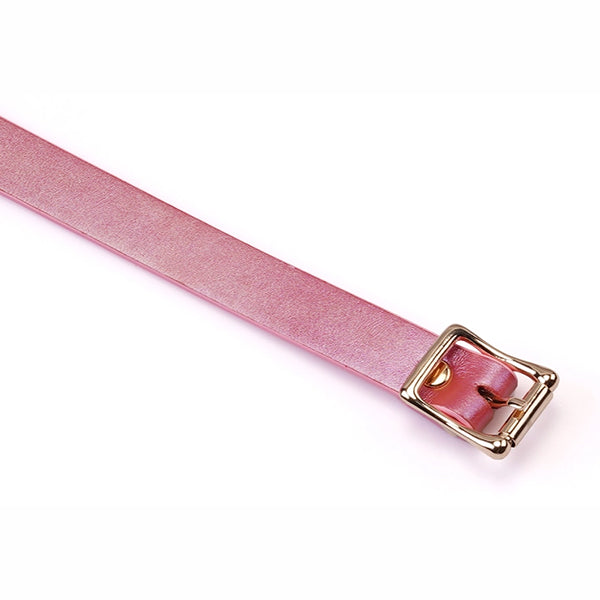 Liebe Seele Lustre Rosa ball gag