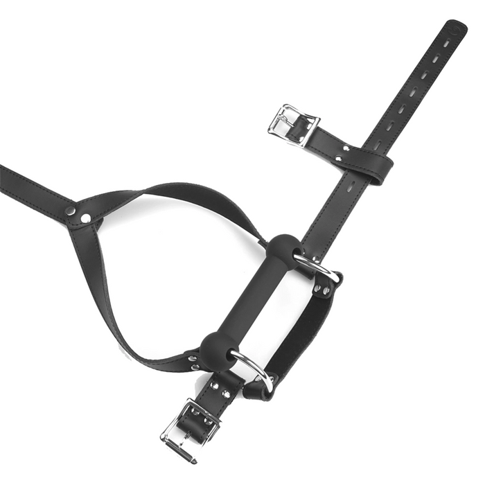 Liebe Seele Noir Sovereign head harness with bite gag