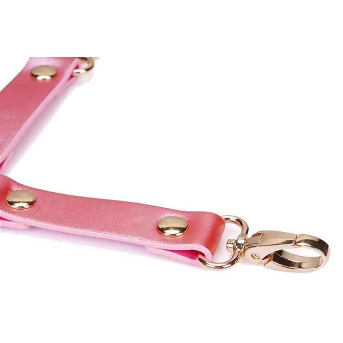 Liebe Seele Lustre Rosa hogtie