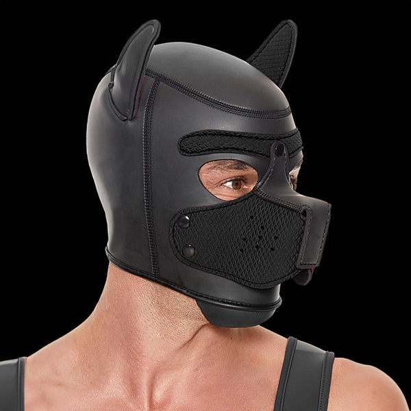 Ouch! Puppy Play puppy hood