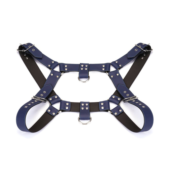 Cerulean Dominion: Blue Leather Male Harness