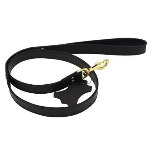 Bound Noir leash